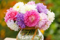 Giants of California Aster Seeds - Callistephus chinensis - Non-GMO, Pink/Purple/White, Late Blooming Annual