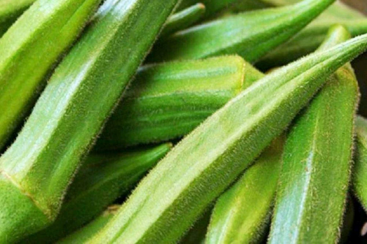 Emerald Okra Seeds - Heirloom, Non-GMO, 100 Seeds, Fast-Growing High-Yield