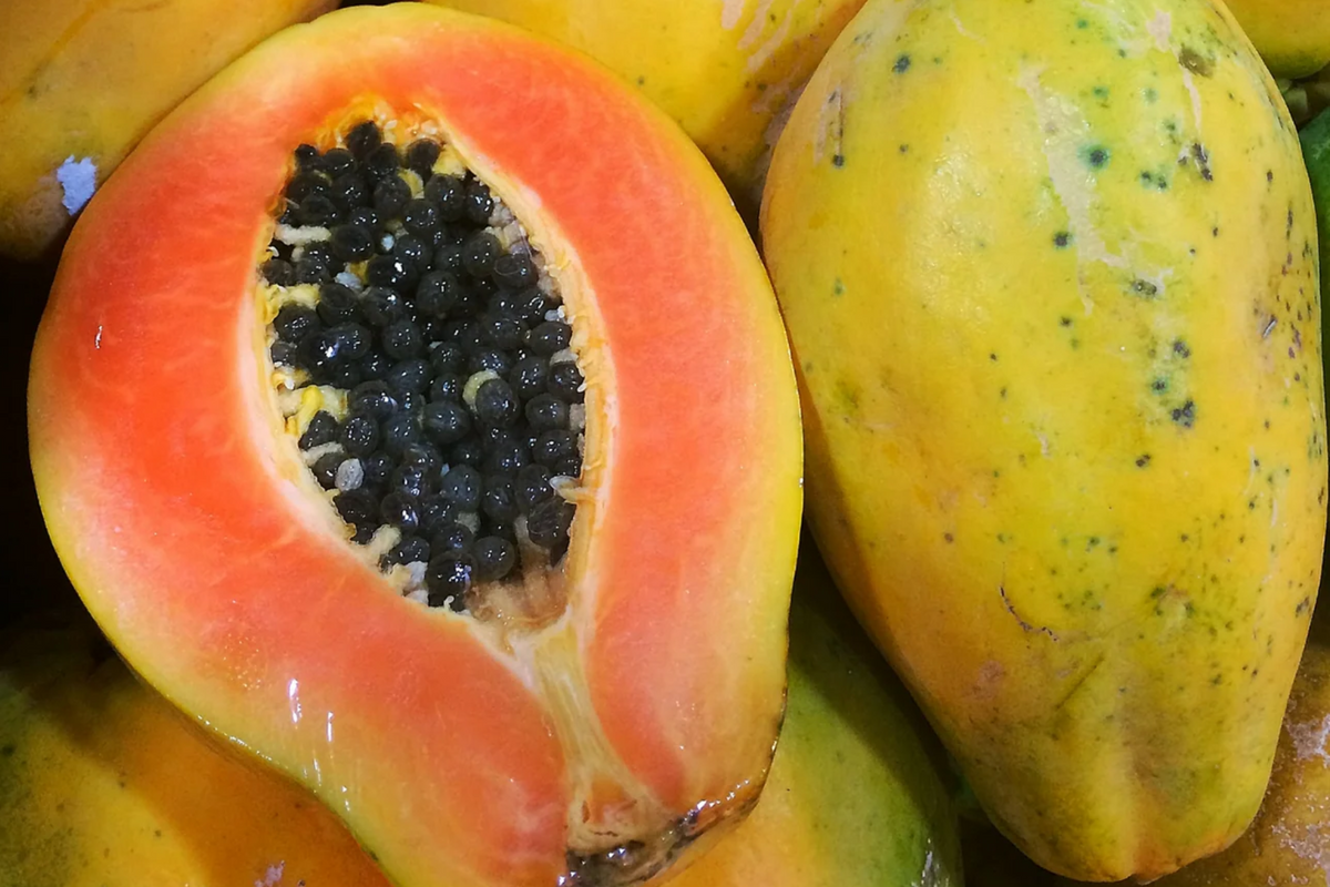 Solo Sunset Papaya Seeds - 25 Seeds, Fast-Growing, Red/Pink Fruit