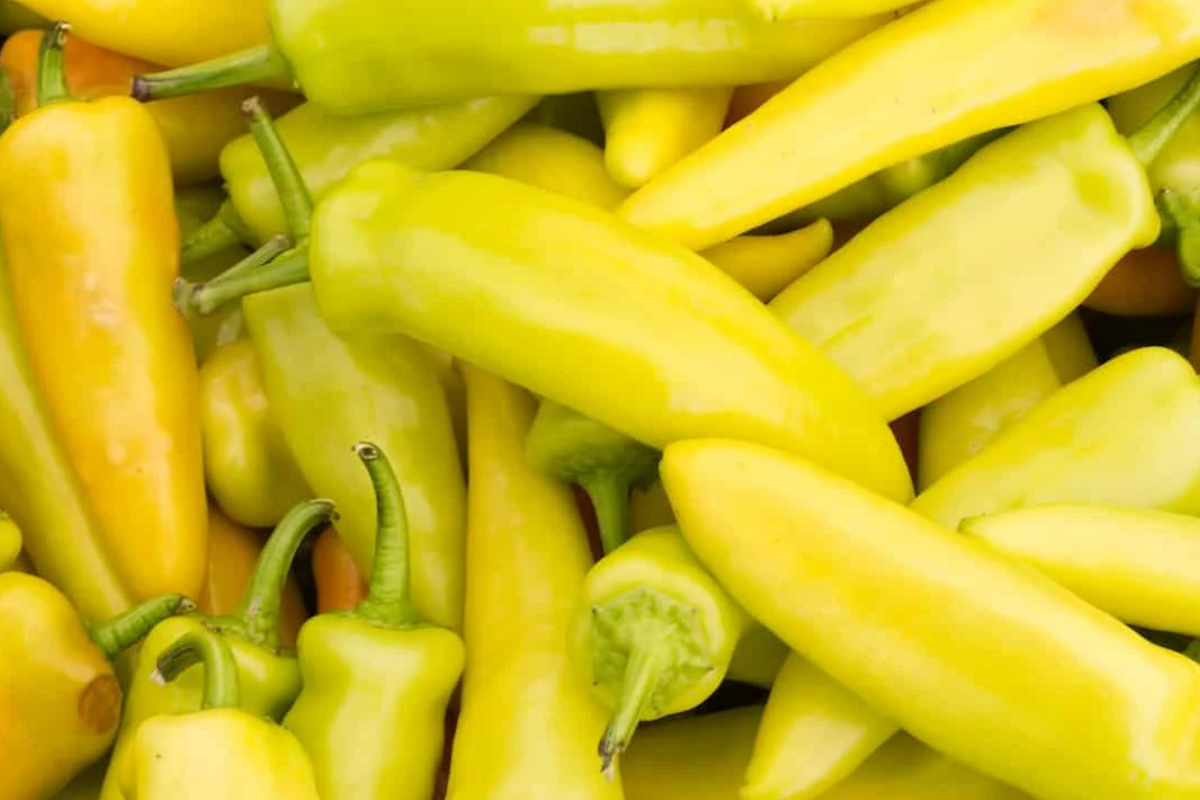 Hungarian Wax Hot Pepper Seeds - Heirloom, Non-GMO, Medium-Hot (200 Seeds)