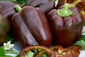 Chocolate Beauty Bell Pepper Seeds - Heirloom, NON-GMO, 50 Seeds