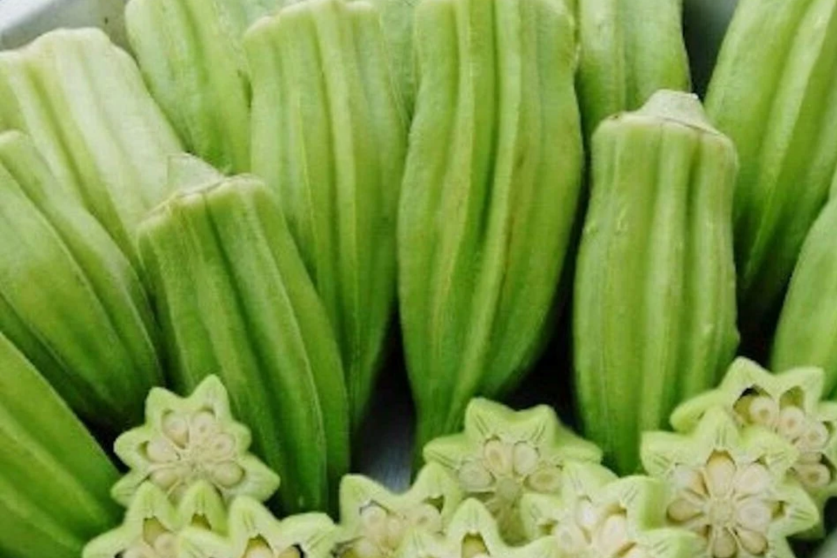Star of David Okra Seeds - Heirloom, Non-GMO, 40 Seeds