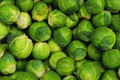 1000 Long Island Improved Brussels Sprouts Seeds - Heirloom, Non-GMO