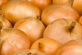 Walla Walla Sweet Onion Seeds - Heirloom, Non-GMO (1000 seeds)