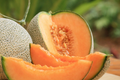 Cantaloupe Melon Seeds - 25 Premium Heirloom Seeds | Sweet Juicy Fruit