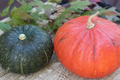 Kabocha Squash Seeds - Heirloom Japanese Pumpkin Variety, 15 Seeds