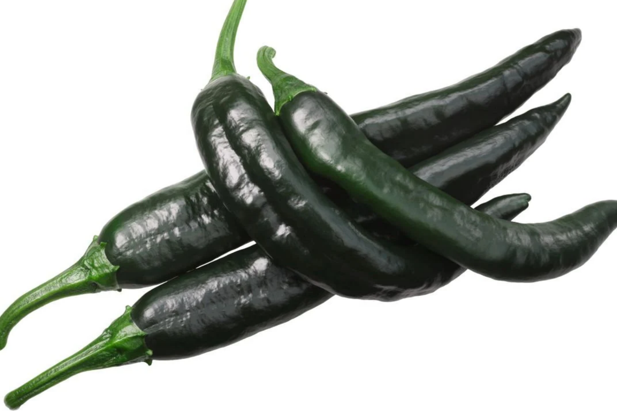 Pasilla Bajio Chilaca Pepper Seeds - Capsicum annuum, Mild & Smoky (25 Seeds)
