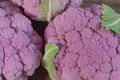 Cauliflower Self-Blanching Seeds (Brassica oleracea) - 1g | Easy-Grow, Mild Flavor