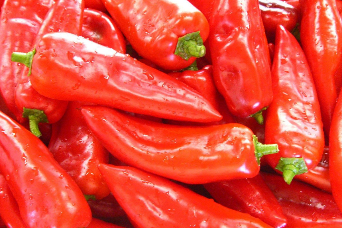 Cubanelle Sweet Pepper Seeds - 250mg Capsicum annuum, Mild & Sweet