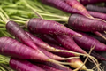 Purple Carrot Seeds - Heirloom, Non-GMO, 1000 Seeds