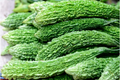 Bitter Melon Seeds - 15 Heirloom Momordica charantia (Green) for Warm-Season Gardens