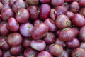 Red Grano Onion Seeds (Allium cepa) - 250mg, Mild Sweet Flavor, Red Skin