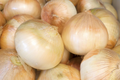 Walla Walla Sweet Onion Seeds (Allium cepa) - 250mg