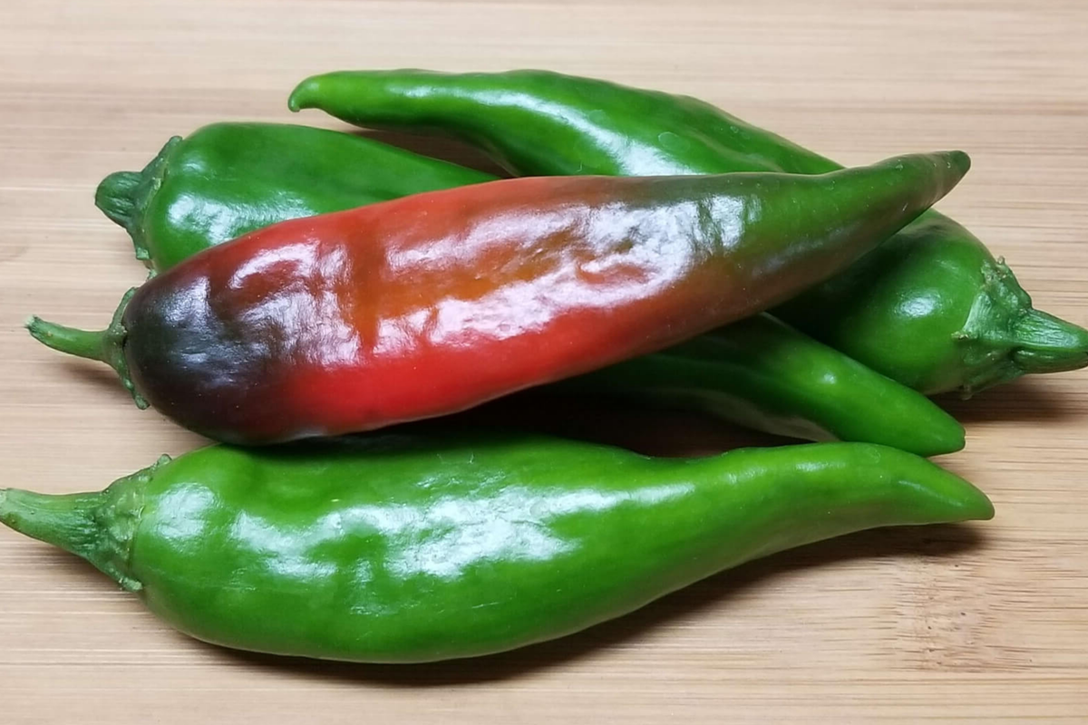 Lumbre Hot Pepper Seeds, Capsicum annuum - 250mg, High Heat, Compact Plants
