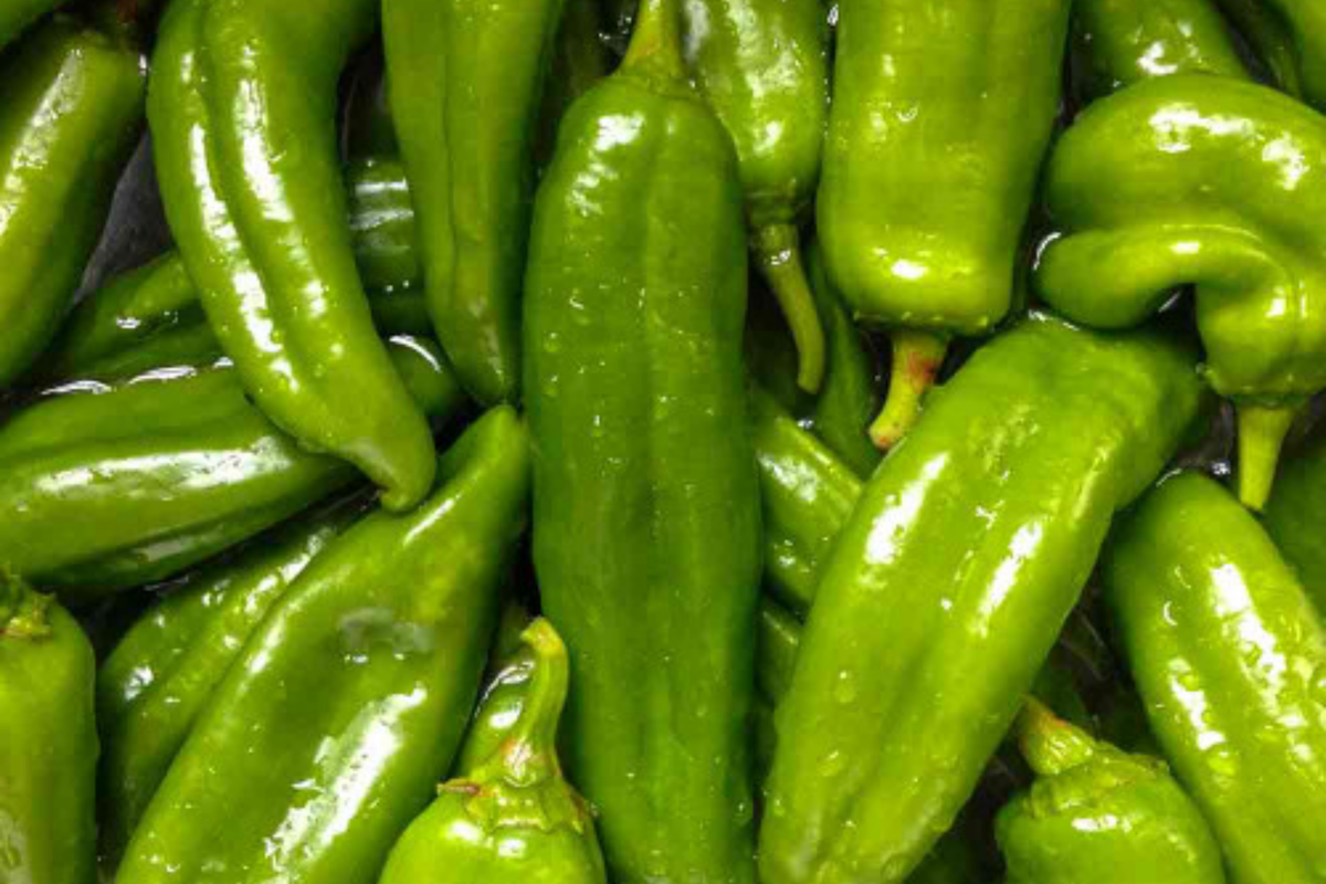 Sandia Hot Pepper Seeds (Capsicum annuum) - 250mg, Medium-Hot Heirloom
