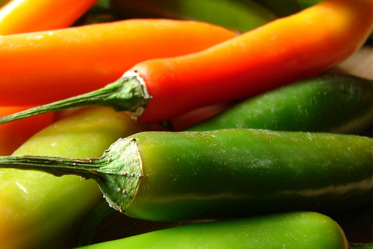 Barker Hot Pepper Seeds (Capsicum annuum) - Heirloom New Mexican Chili, 250mg