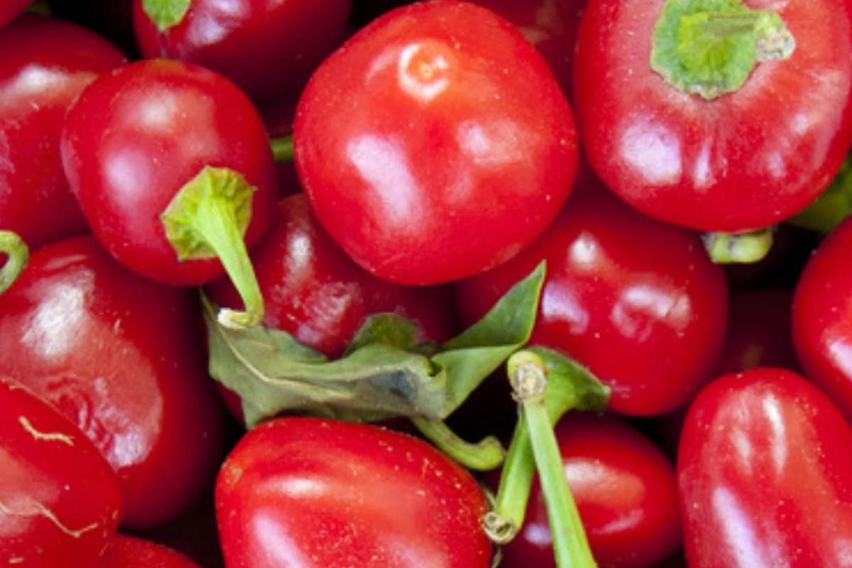 Red Cherry Sweet Pepper Seeds (Capsicum annuum) - 250mg, Heirloom, Non-GMO