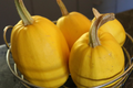 Spaghetti Winter Squash Seeds (Cucurbita pepo) - Non-GMO, Heirloom, 1g