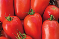Tomato Roma Seeds - Heirloom Solanum lycopersicum, 100mg | Non-GMO, Determinate, For Sauces & Canning