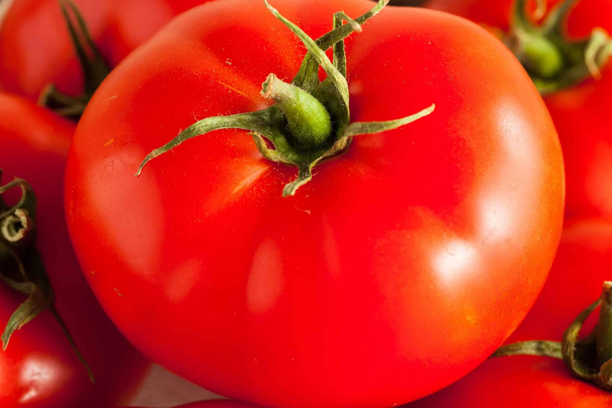 Tomato Beefsteak Seeds - Solanum lycopersicum | Heirloom, Large Fruits, Non-GMO (300mg Seed Packet)