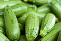 Dark Green Zucchini Seeds (1g) Cucurbita pepo - High-Yield, Non-GMO Summer Squash