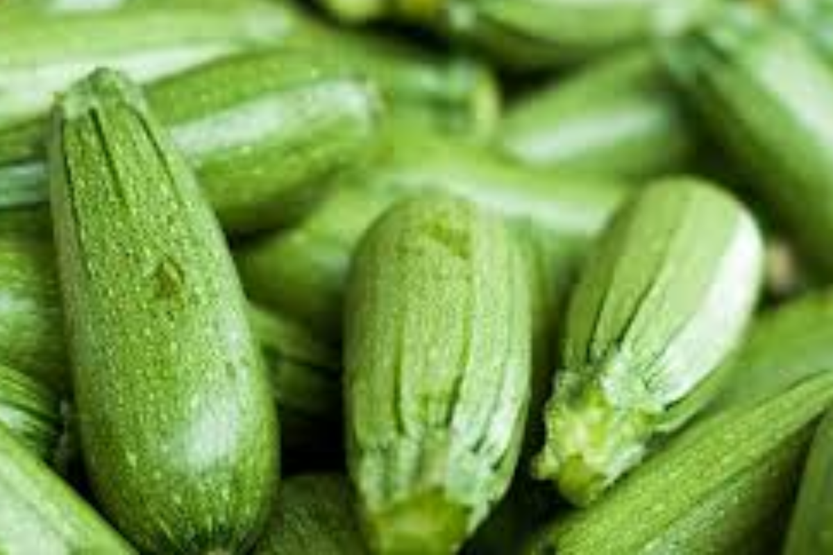 Dark Green Zucchini Seeds (1g) Cucurbita pepo - High-Yield, Non-GMO Summer Squash