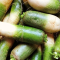 Green Meat Radish Seeds - Heirloom Daikon, Green Skin, Mild Crisp Flesh, 500+ Seeds