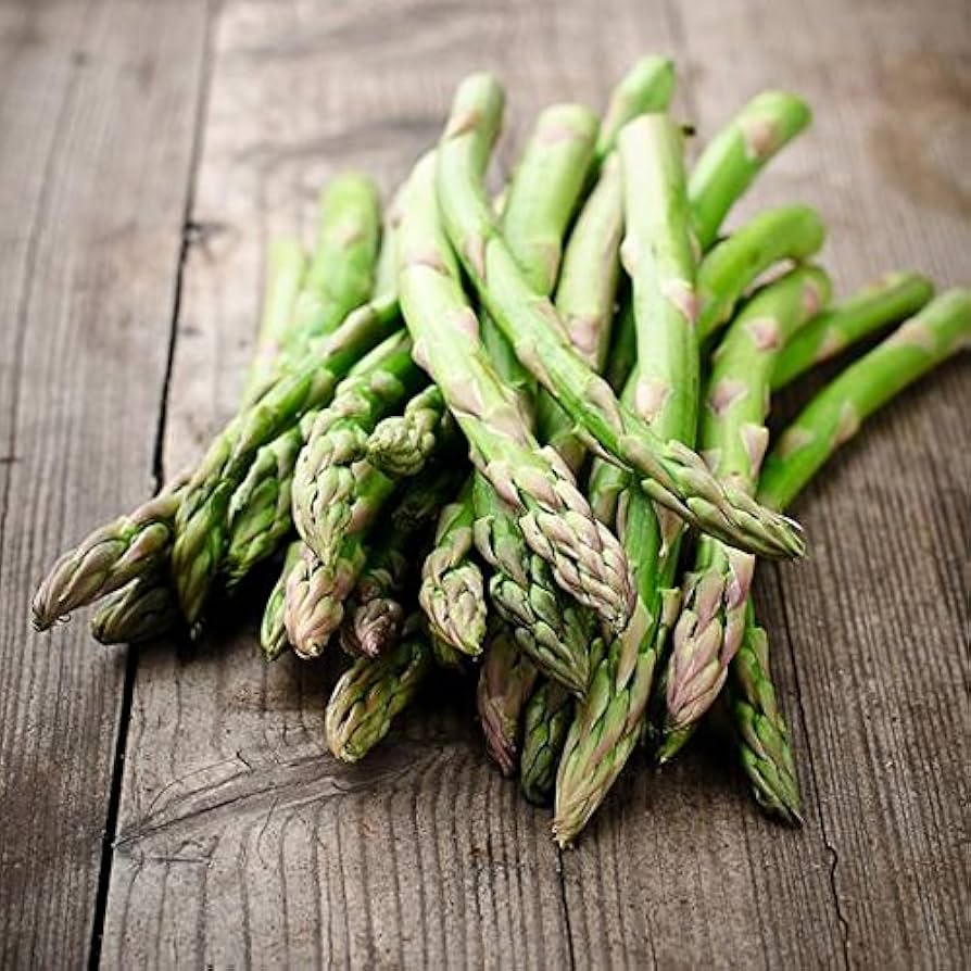 Asparagus Mary Washington Seeds - Asparagus officinalis (1g) Heirloom, Long-Lived Perennial