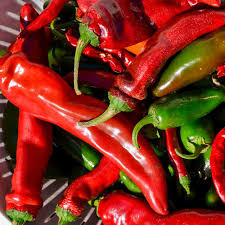 New Mexico Sandia Pepper Seeds – Capsicum annuum, Heirloom, 5,000-7,000 SHU