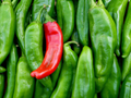 Sonora Mild Hot Pepper Seeds - Capsicum annuum, Non-GMO, Heirloom, 250mg