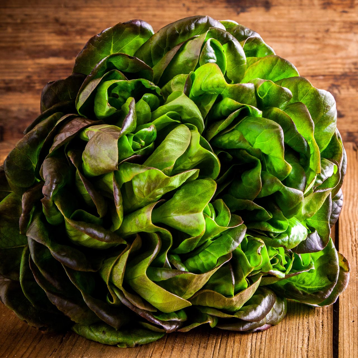 Bronze Mignonette Butterhead Lettuce Seeds - 1g (Lactuca sativa) Heirloom, Non-GMO