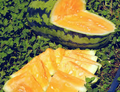 Orangeglo Watermelon Seeds - Heirloom, Non-GMO, 20-30 lb Orange-Flesh Melons (90 Days)