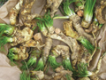Horseradish Roots for Planting - Organic Starter Plant (2 Roots)