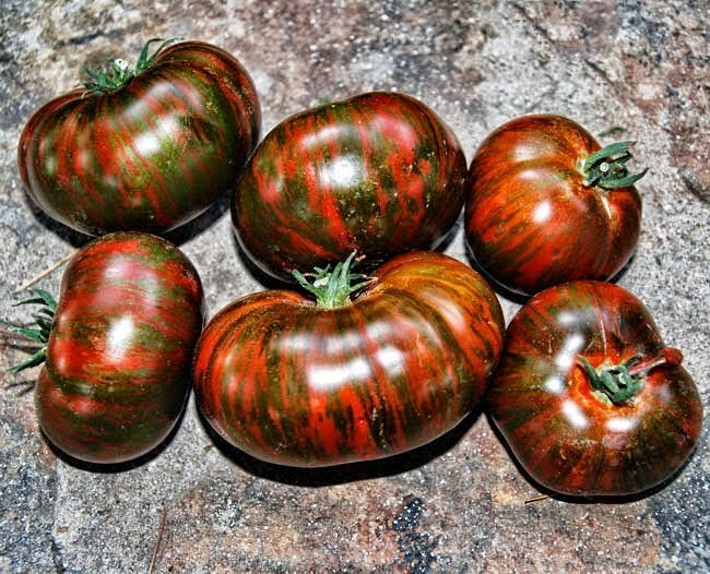 Chocolate Stripes Tomato Seeds - Heirloom, Organic, Non-GMO, 30+ Seeds