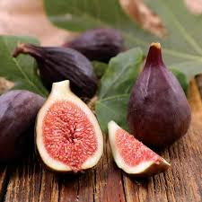 100+ Violette de Bordeaux Fig Seeds – Ficus carica Self-Pollinating, Sweet Dark Figs
