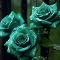 Scottish Green Rose Seeds - 20pc Heirloom, Non-GMO, High Germination