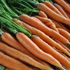Carrot Scarlet Nantes Seeds - 1g (Daucus carota) Heirloom, Sweet 65-75 Days