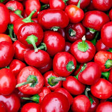 Large Cherry Hot Pepper Seeds (Capsicum annuum) – 250mg, Non-GMO, Mild-Medium Heat