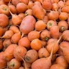 Oxheart Carrot Seeds - Heirloom, Short & Thick, 1000+ Seeds, 80-90 Days