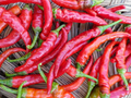 Hot Cayenne Red Long Pepper Seeds (Capsicum annuum) - Non-GMO, 300mg, 70-80 Days