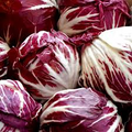 Radicchio Seeds - 500 Palla Rosa Heirloom Italian Chicory (Non-GMO)