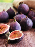 Violette de Bordeaux Fig Cuttings for Propagation — 6 Premium Starter Cuttings