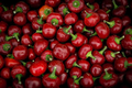 Pimento Pepper Seeds | Heirloom, Non-GMO | Sweet, Mild, Heart-Shaped Peppers (Capsicum annuum) 80 Days