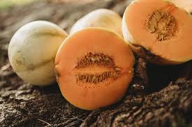 Charentais Melon Seeds (Cucumis melo) - French Heirloom, Sweet Orange Flesh, 25 Seeds