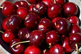 Lambert Cherry Tree Scion Cuttings (3) - 8"+ Sweet Red Cherry for Grafting