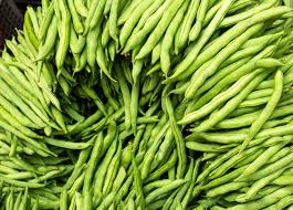 Provider Green Bush Bean Seeds - 5g, Heirloom, Non-GMO, High-Yield