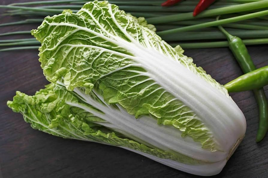 Michihili Cabbage Seeds - 1000 Non-GMO Heirloom Napa/Chinese Cabbage