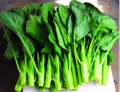 Wan Shen Kailan Seeds (Chinese Broccoli) - 500mg Heirloom Non-GMO Brassica oleracea oleracea var. alboglabra