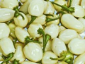 White Habanero Pepper Seeds - Heirloom, Non-GMO | 3 ft Plants, 100 Days to Maturity