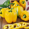 Sunbright Sweet Bell Pepper Seeds (Capsicum annuum) - Heirloom, Non-GMO, Yellow Bell